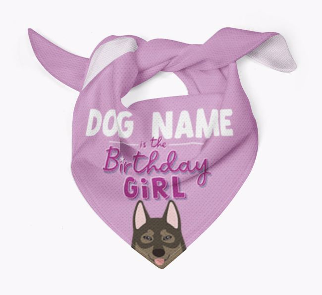 Birthday Girl: Personalised {breedFullName} Bandana